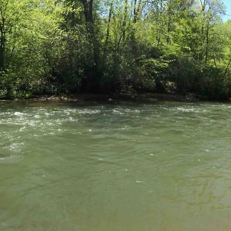 Cabin Fever On Cartecay River Ellijay Bagian luar foto