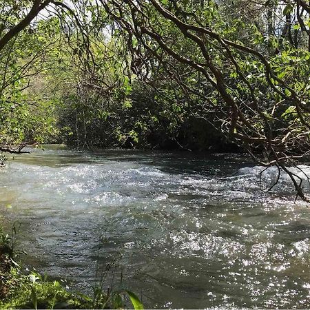 Cabin Fever On Cartecay River Ellijay Bagian luar foto