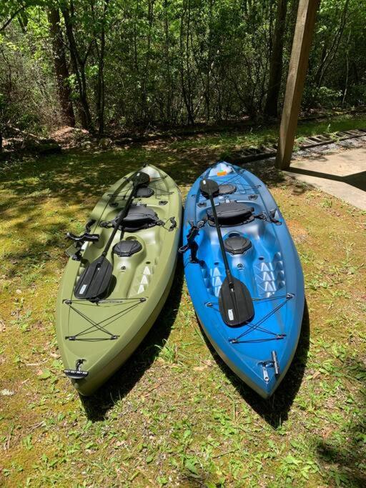 Cabin Fever On Cartecay River Ellijay Bagian luar foto