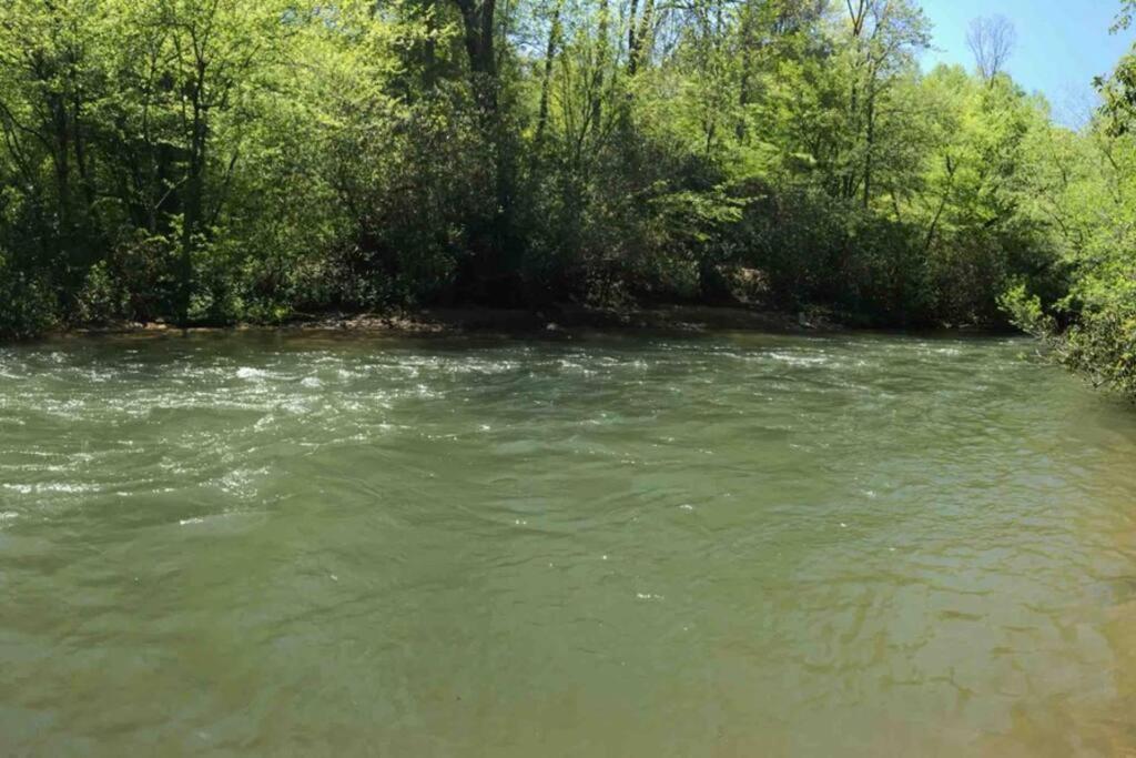 Cabin Fever On Cartecay River Ellijay Bagian luar foto