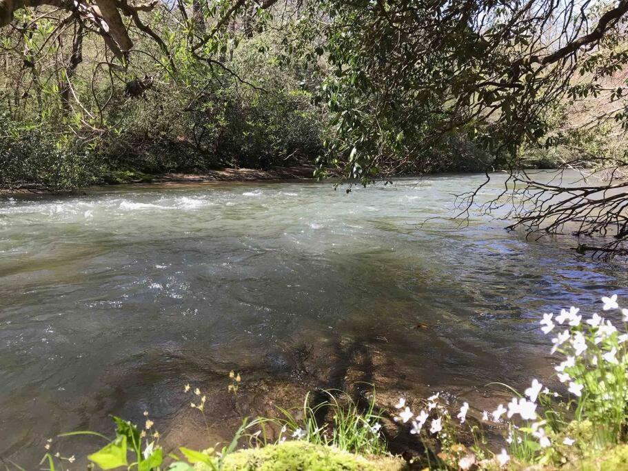 Cabin Fever On Cartecay River Ellijay Bagian luar foto