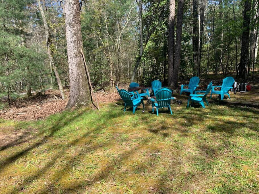 Cabin Fever On Cartecay River Ellijay Bagian luar foto