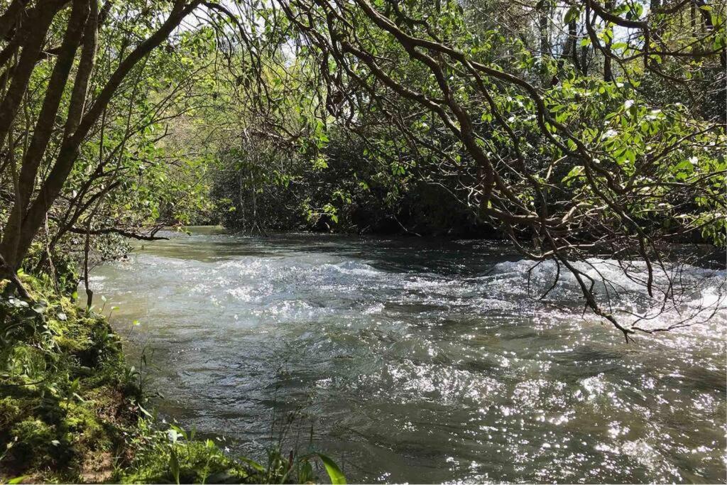 Cabin Fever On Cartecay River Ellijay Bagian luar foto