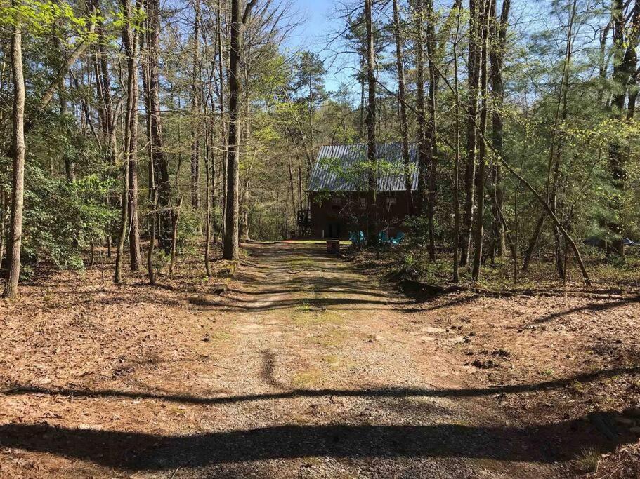 Cabin Fever On Cartecay River Ellijay Bagian luar foto